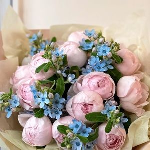 Meet your Posher, Veronika